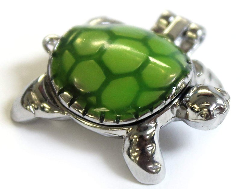 Ganz Lucky Little Turtle Wish Box Charm With Story Card! - Image 4